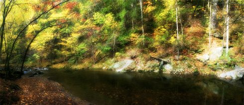 fall_colors.jpg