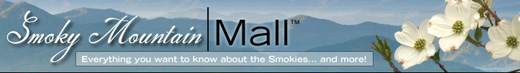 smoky mountain lodging, cabin rentals, hotels