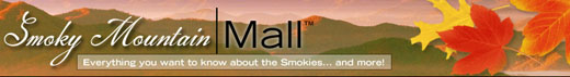 smoky mountain lodging, cabin rentals, hotels