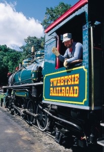 mattintrain_img