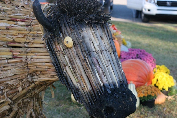 Buffalo