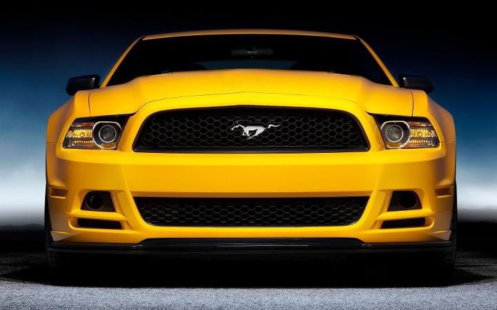 12th Annual Yellow Mustangs Show