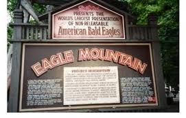 Dollywood’s Eagle Mountain Sanctuary