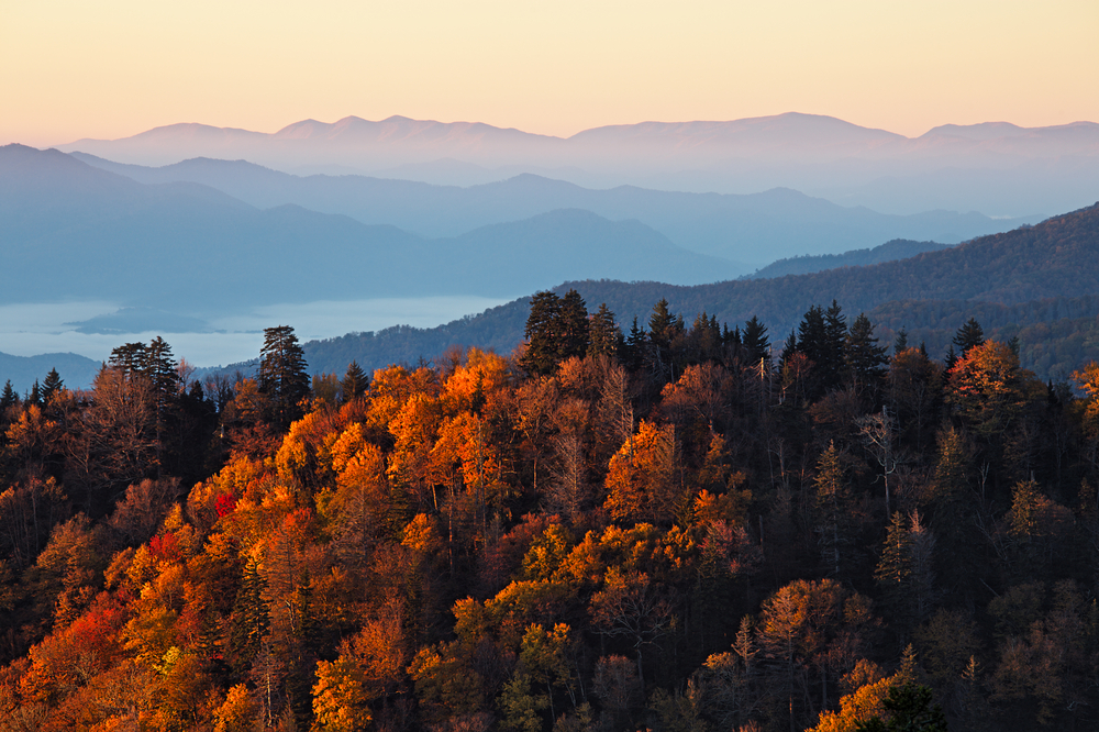 Pigeon Forge weather in the Fall provides striking views of leaf color change