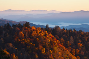 Amazing fall colors in the mountains near Pigeon Forge.