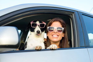 Dog and woman wearing sunglasses in a car.