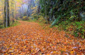 Hiking in the fall is one the best things to do in Pigeon Forge in the fall.